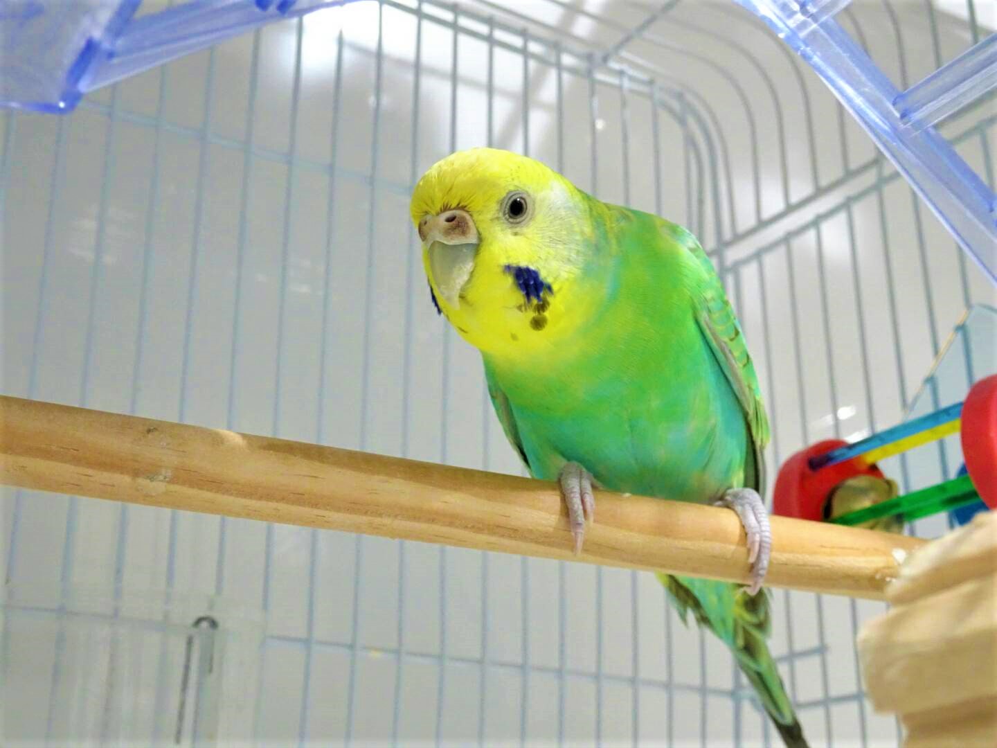 65308